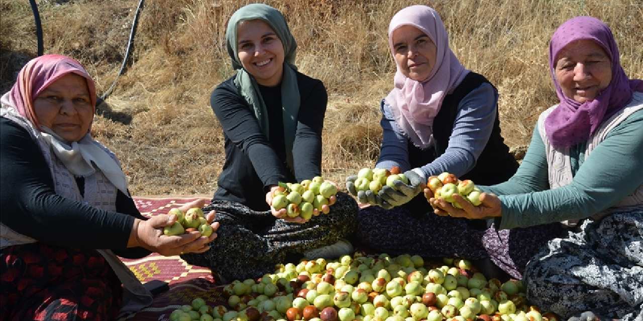 Manisa’da hasadı başladı: Kasalara konuluyor, Türkiye’nin farklı şehirlerine gönderiliyor!