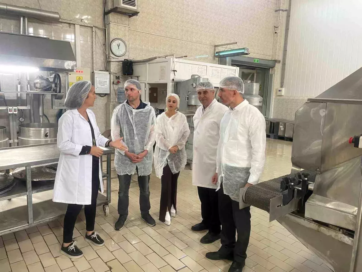 Bursa Kestane Şekerinde Dünya Standartları