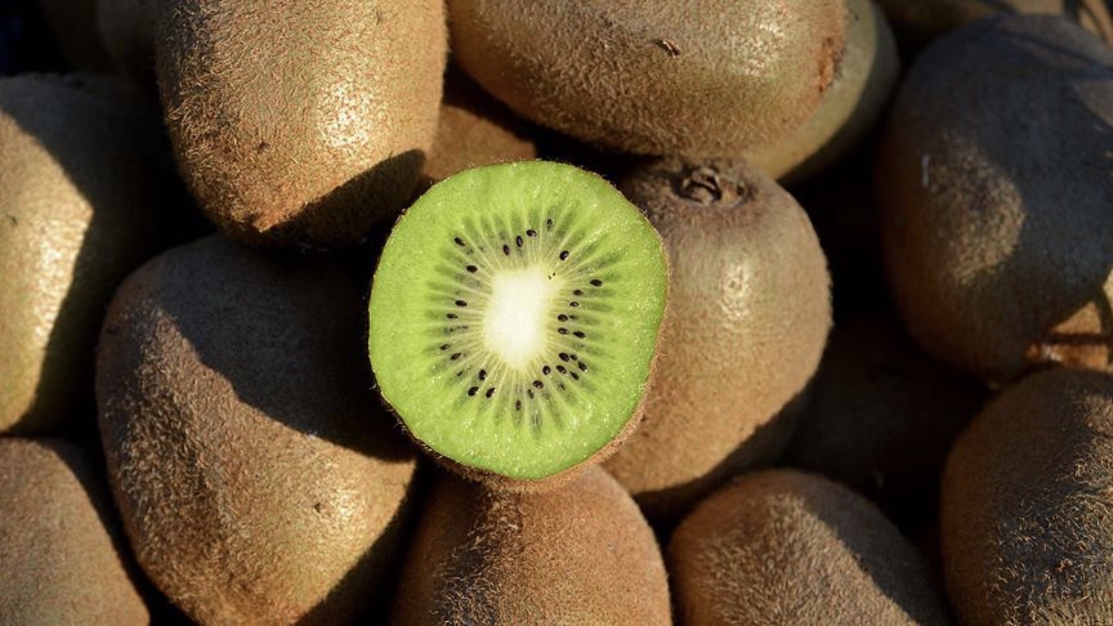 Kabızlığı gidermek için yeni reçete: Kivi