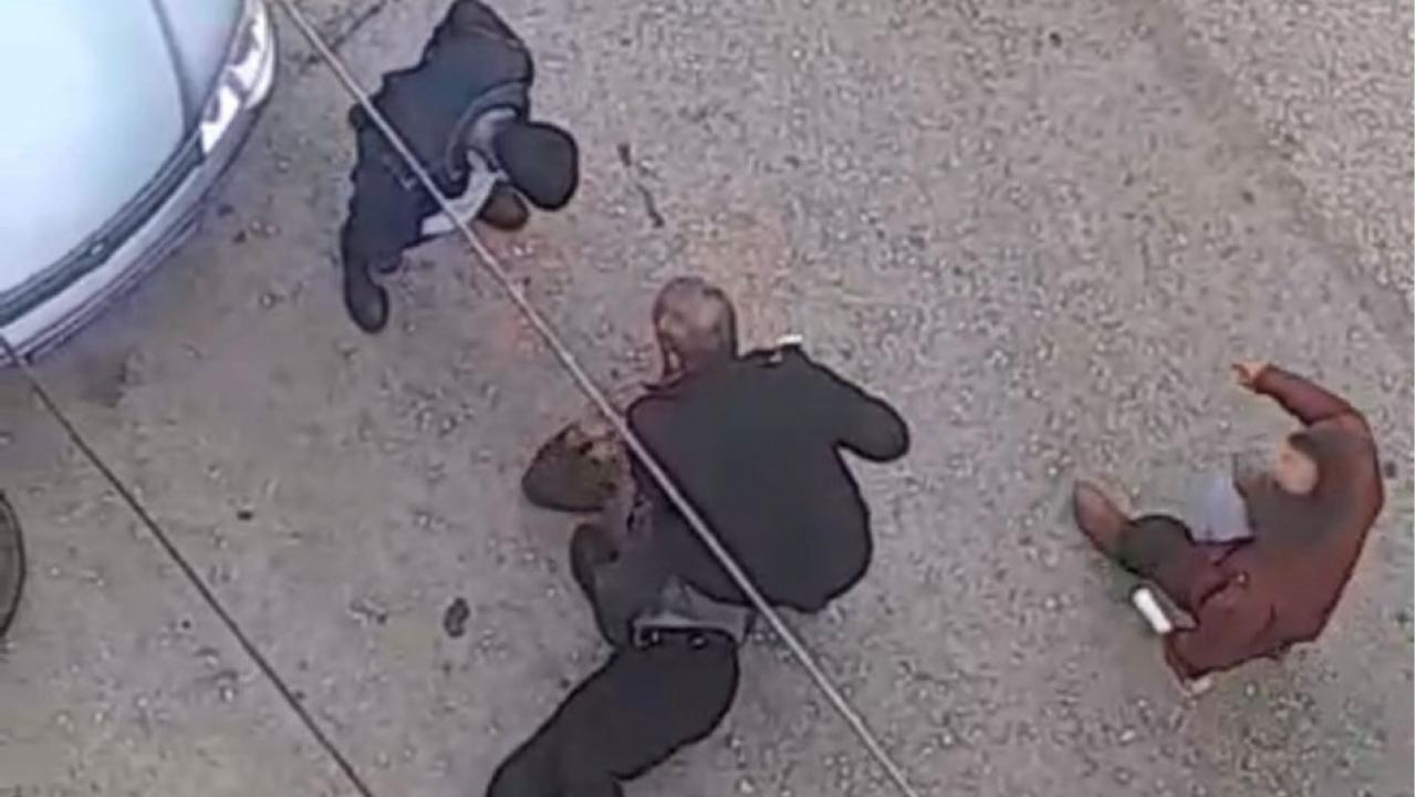 Petshopta taciz! Sokak ortasında meydan dayağı