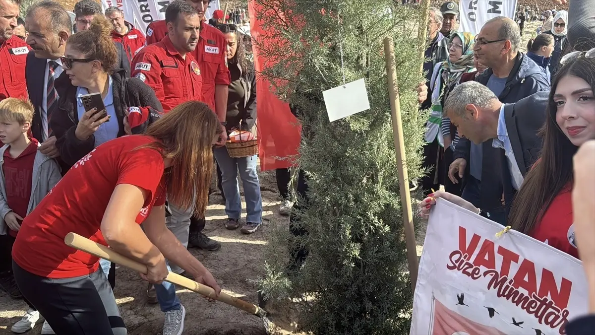 11 Kasım Ağaçlandırma Günü’nde Fidan Dikimi