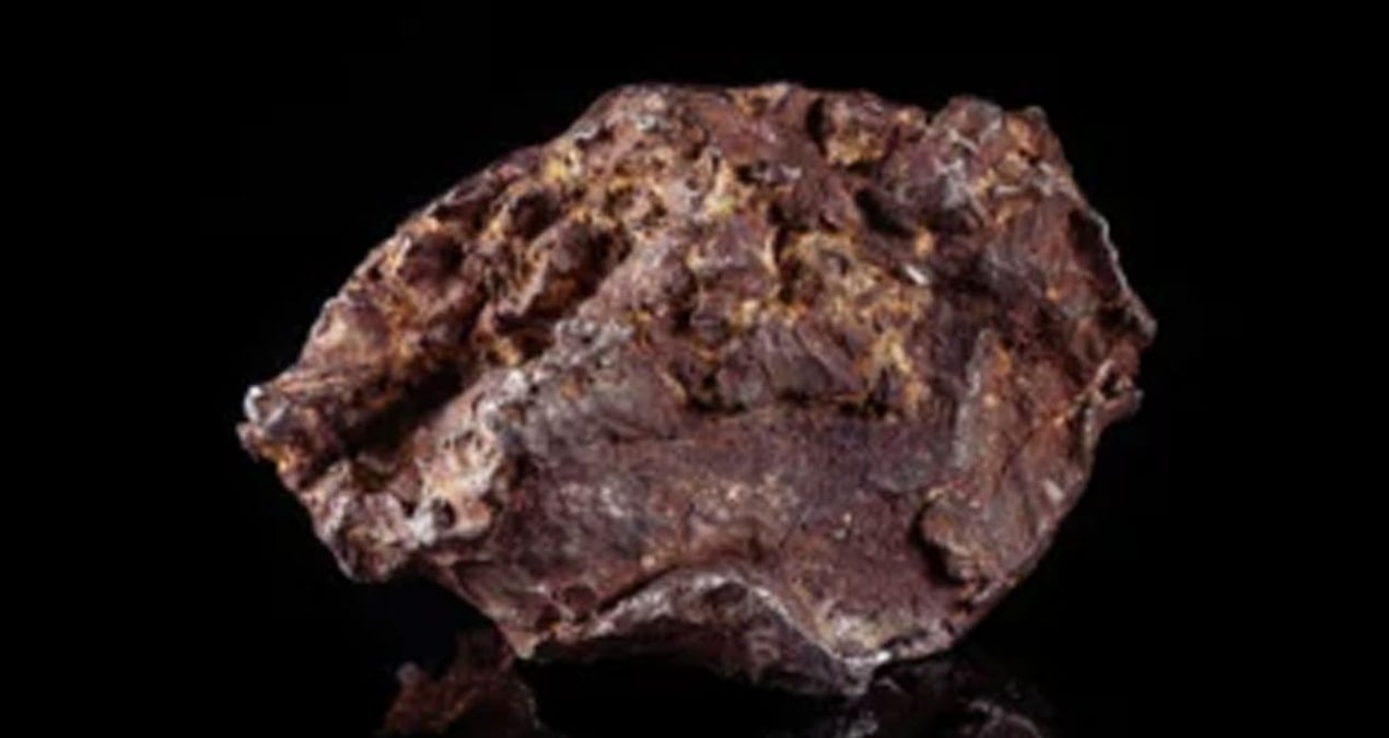 2 milyar yıllık Mars taşında insan DNA’sı izleri bulundu