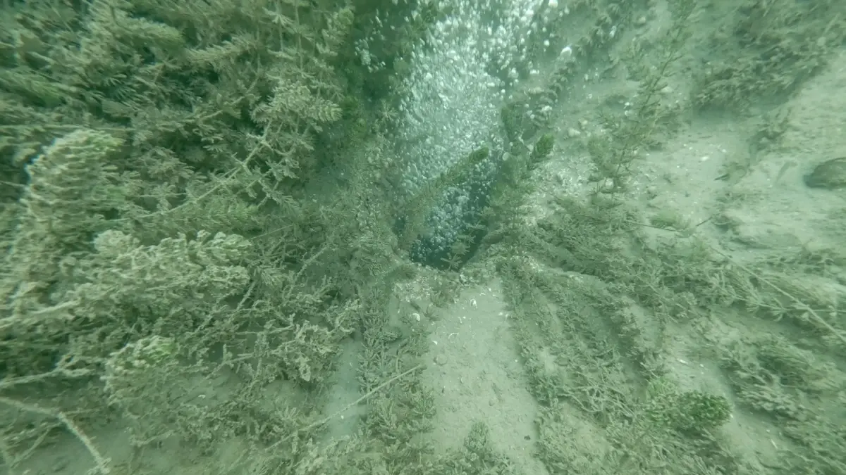 Sapanca Gölü’ndeki Kabarcıklar Güvenli