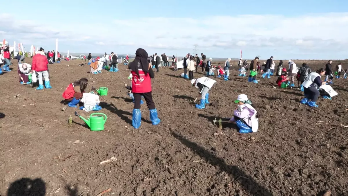 Silivri’de Milli Ağaçlandırma Günü Etkinliği: 15 Bin Fidan Toprakla Buluştu