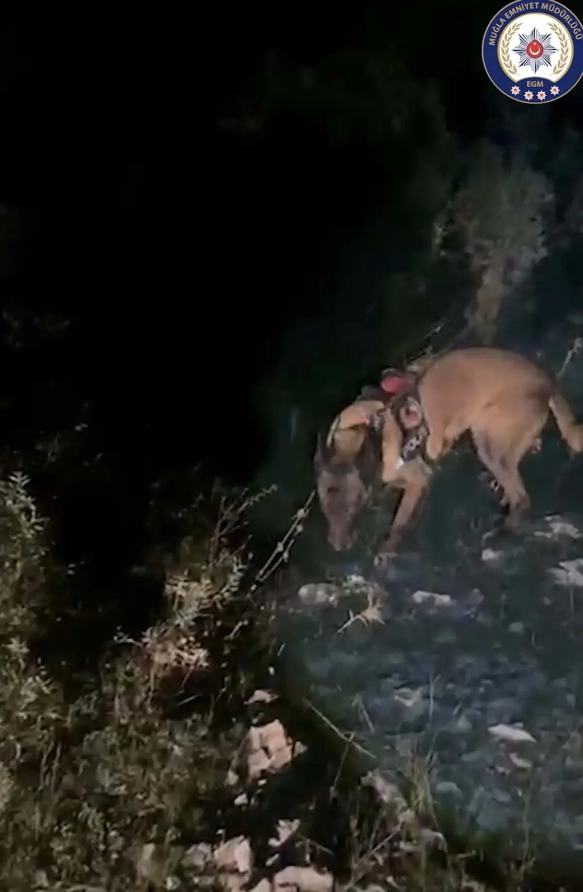 Uyuşturucu Operasyonunda 4 Tutuklama