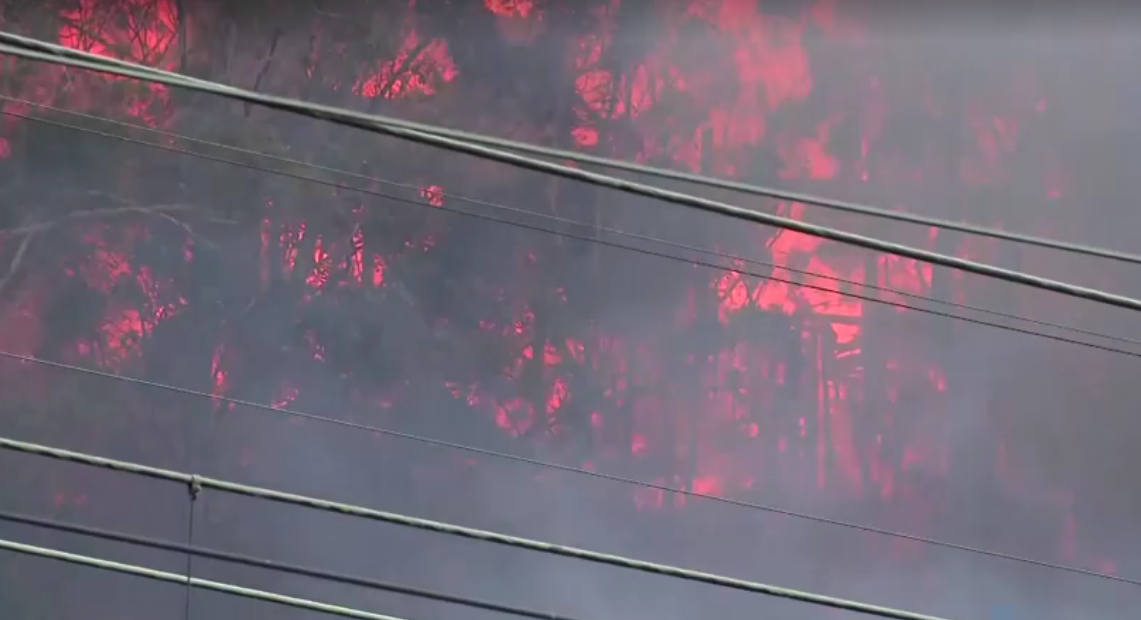 Avustralya’da 50’den fazla orman yangını çıktı