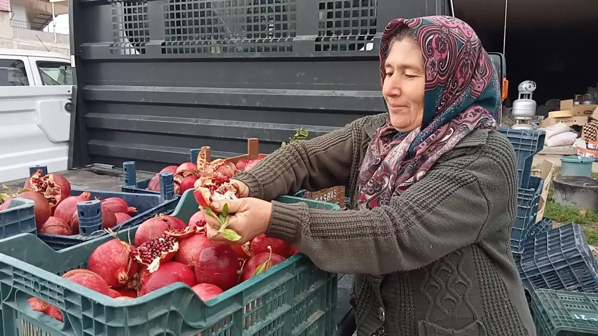 Gülnar’da Kadınlar İmece Usulü Nar Ekşisi Üretiyor