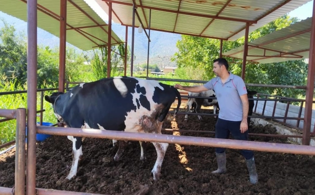 Milas’ta 11 mahalle karantinaya alındı