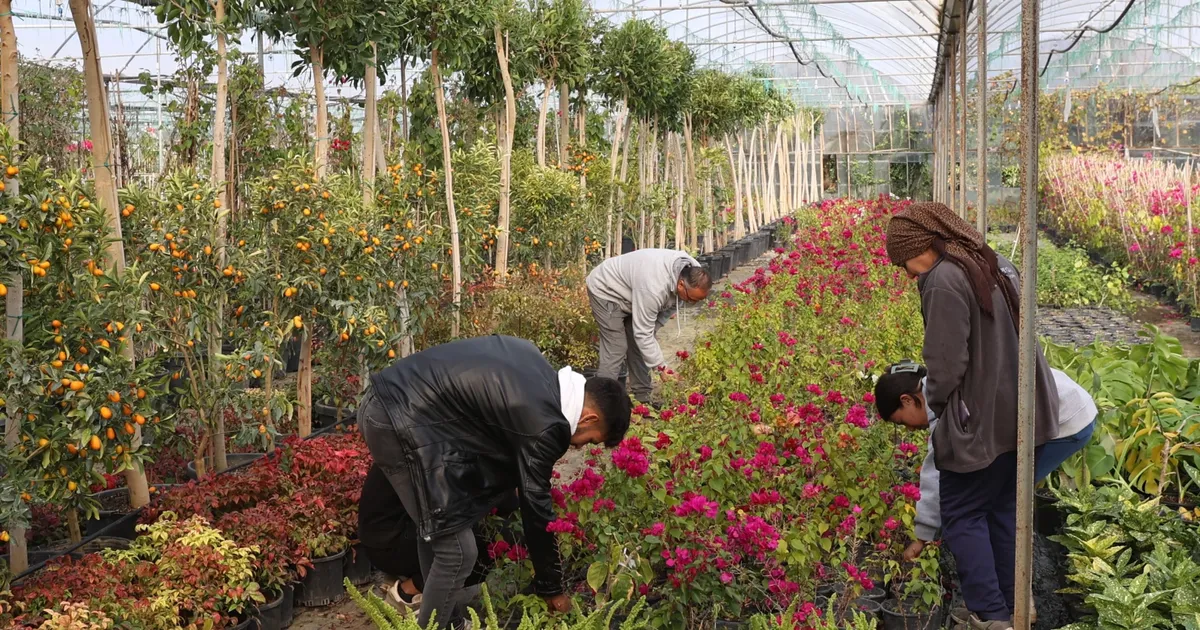 Muğla’dan yerel kalkınmaya ‘Büyük’ katkı