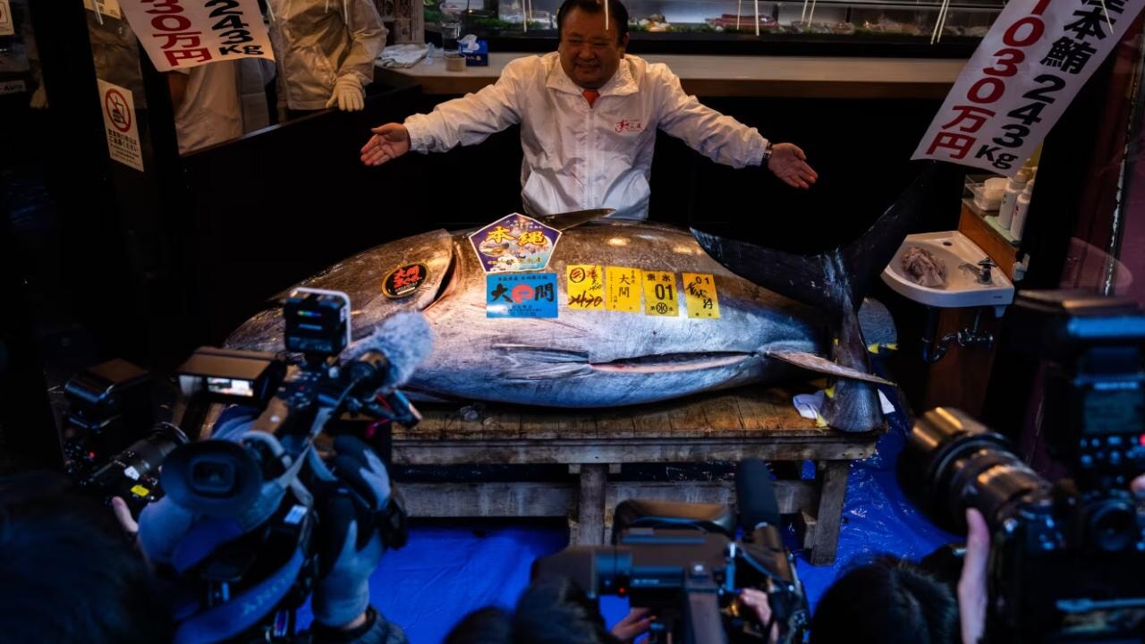 Bu balık 3,2 milyon dolara satıldı