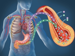 İspanya’da araştırmacılar farelerde pankreas kanserini tedavi etti