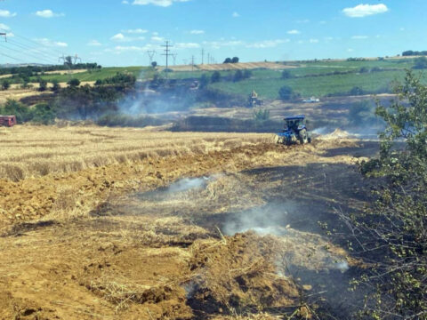 Tekirdağ’da yangın: 200 dekar buğday küle döndü!